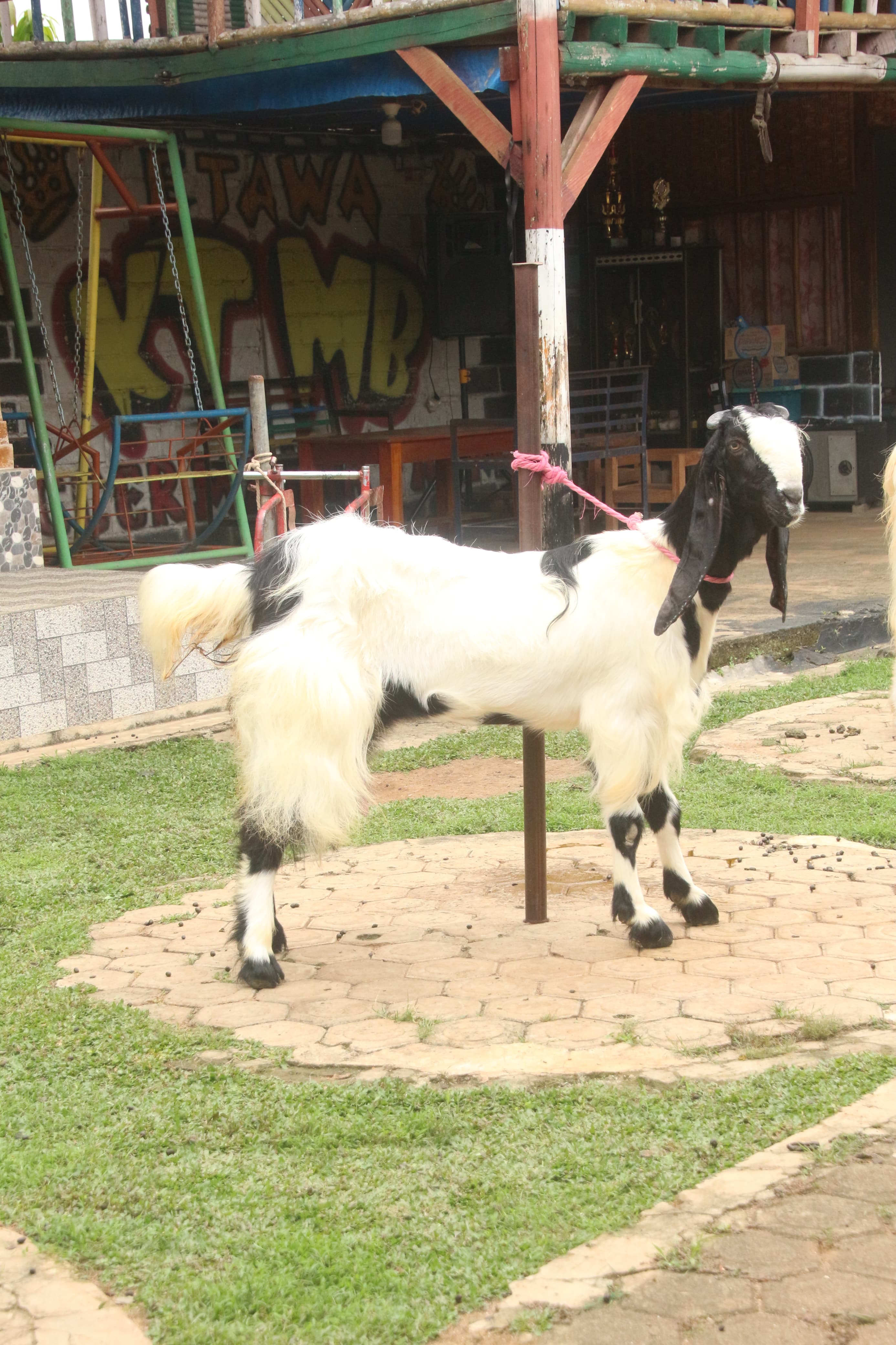 Gambar PUTRI RATU - 1